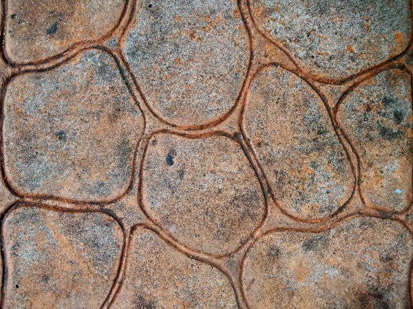 Stained Concrete Service in Madera
