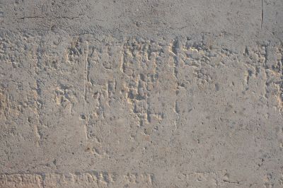 Custom Color Options